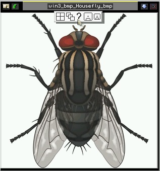 Fly with menu